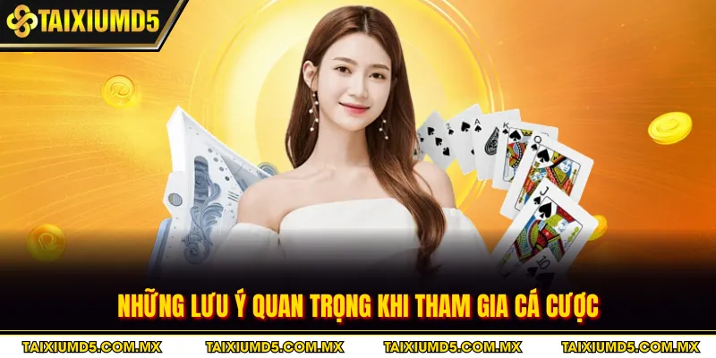 Những lưu ý quan trọng khi tham gia cá cược