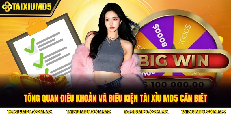 Tổng quan điều khoản và điều kiện tài xỉu MD5 cần biết